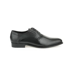 Sapato TMMS